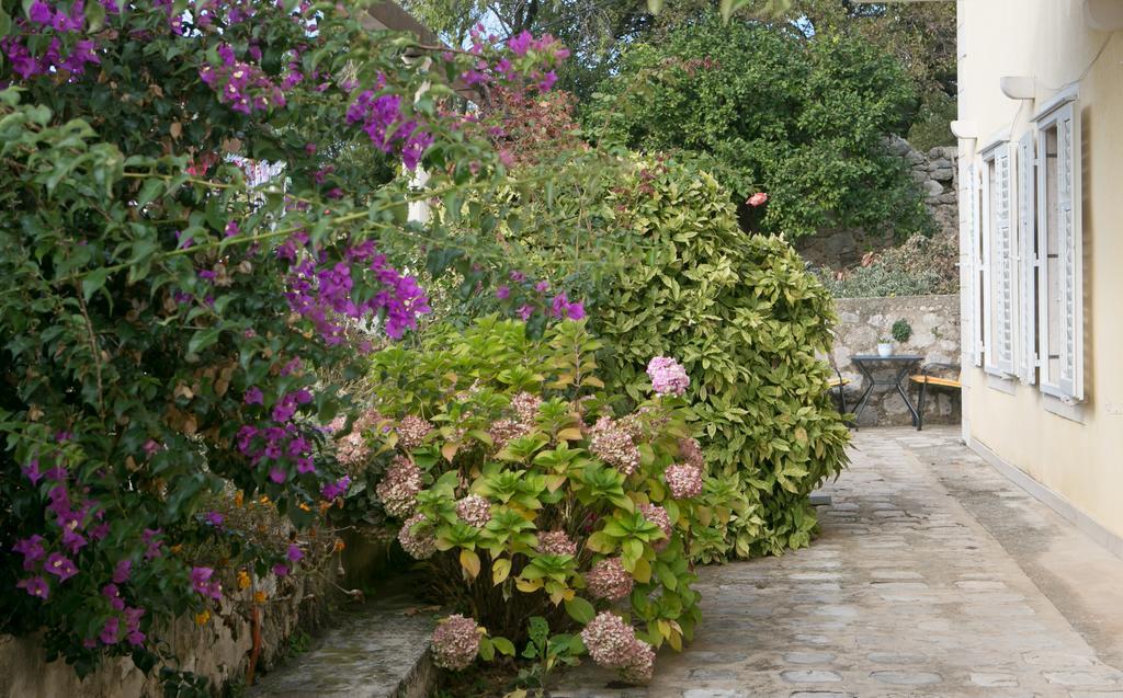 Villa Bona Dubrovnik Exterior foto